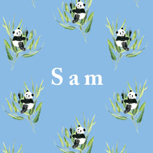 Load image into Gallery viewer, Panda Sleeping bag with Name