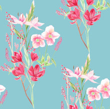 Load image into Gallery viewer, Kaffir Lily